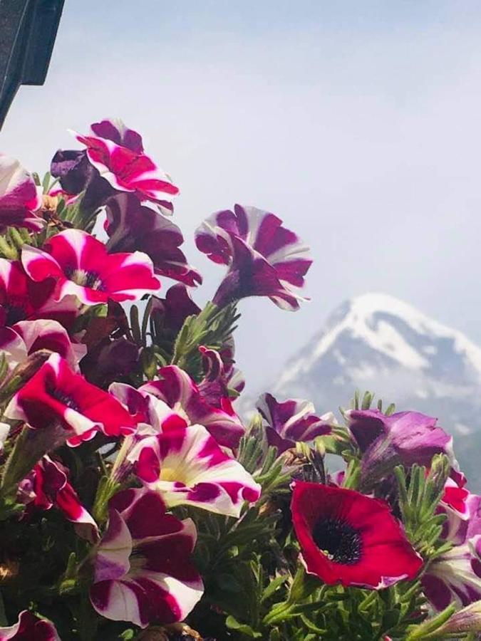 Guest House Elguja Qushashvili Kazbegi Bagian luar foto