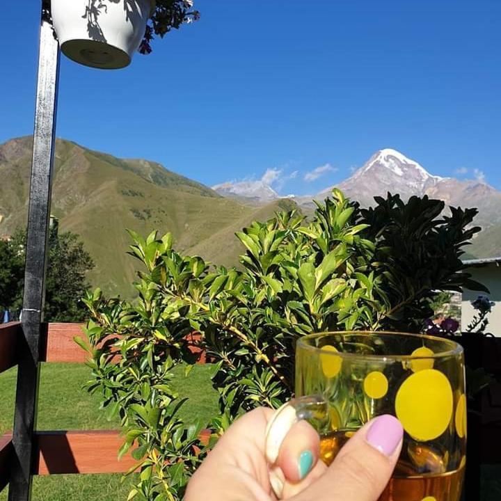 Guest House Elguja Qushashvili Kazbegi Bagian luar foto