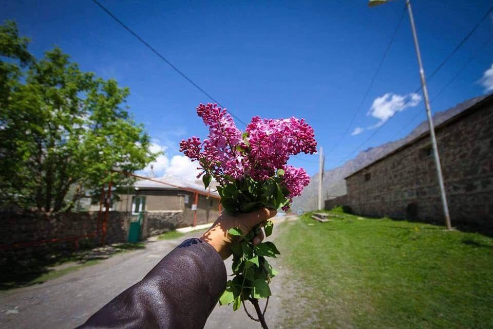 Guest House Elguja Qushashvili Kazbegi Bagian luar foto
